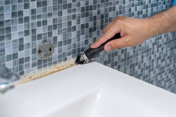 Office Mold Removal Services in Campbellsville, KY