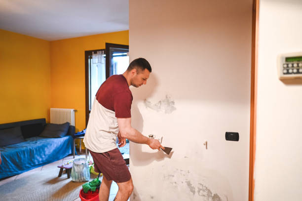 Best Mold Removal Company Near Me  in Campbellsville, KY